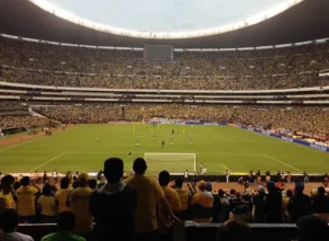 奥运,米自由泳金,牌得主,开云365,KaiYun365,开云365注册网址,开云365app,开云365官网,开云365网站,开云365下载