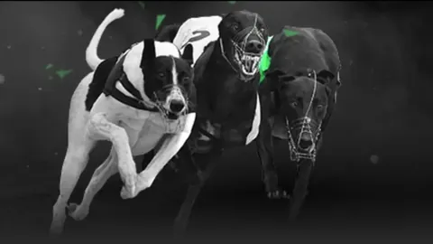 托雷斯赛季进球超越巴塞罗那生涯最佳，总进球数达12球